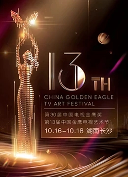 第十三届中国金鹰电视艺术节